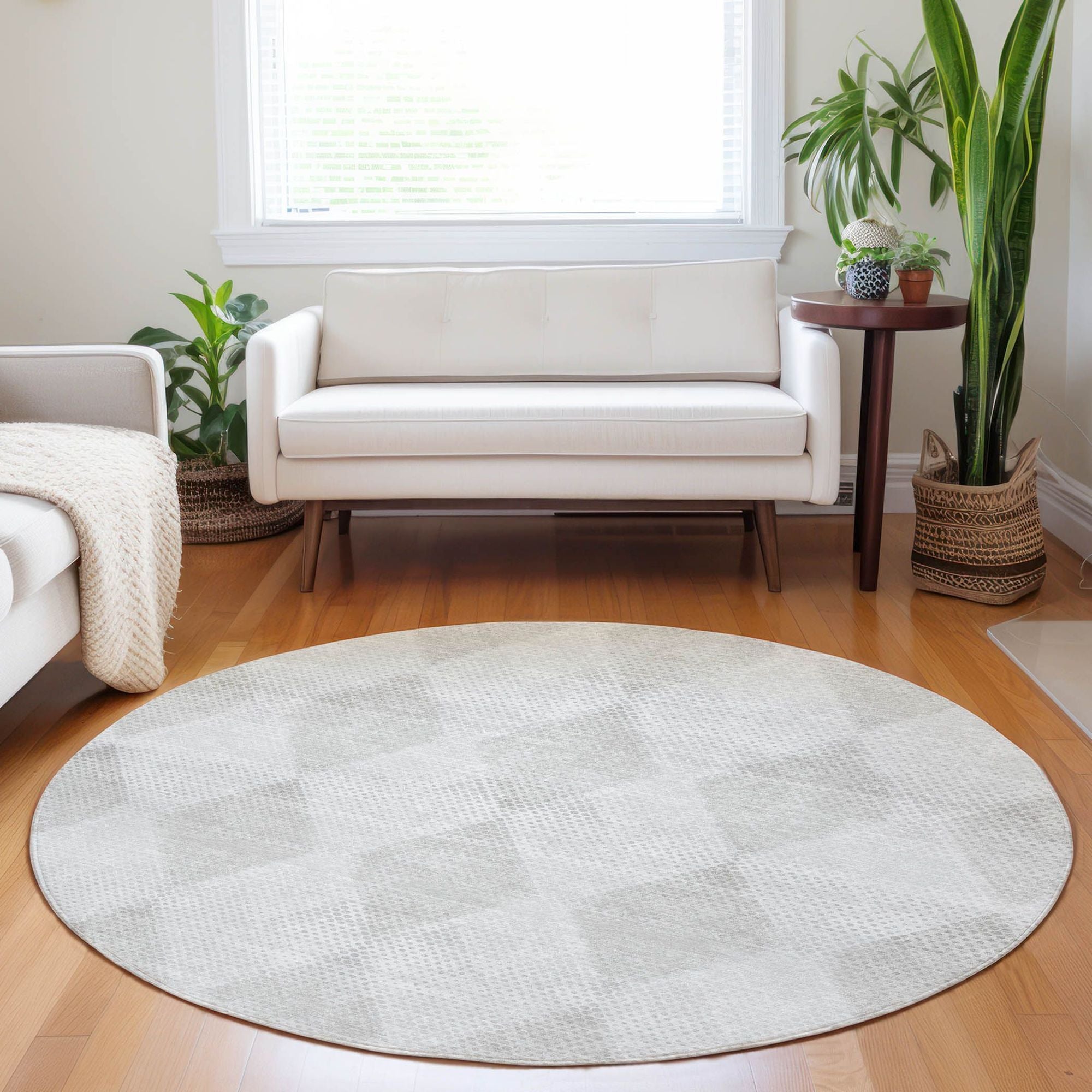 Machine Made ACN539 Ivory  Rugs #color_ivory 