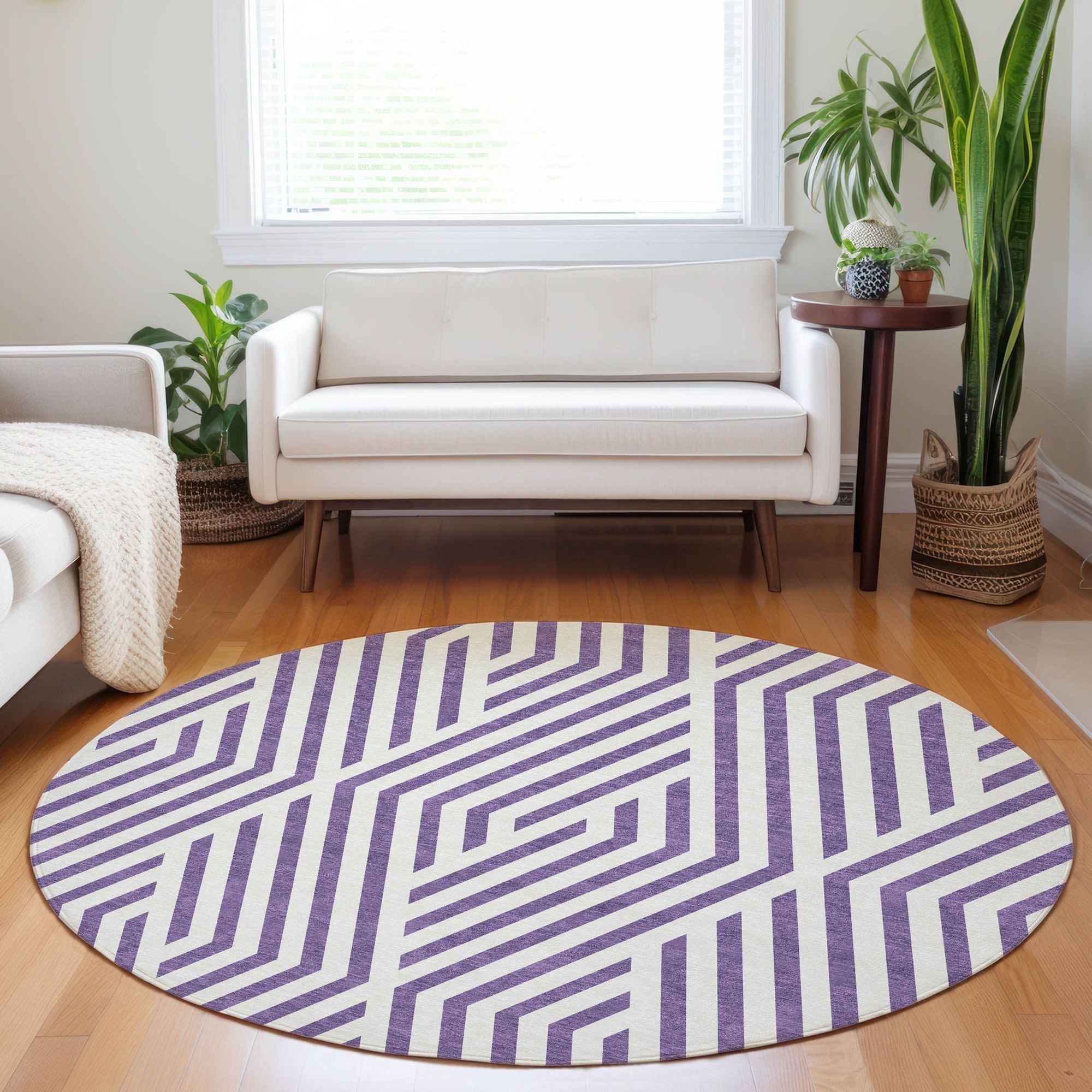 Machine Made ACN550 Purple  Rugs #color_purple 