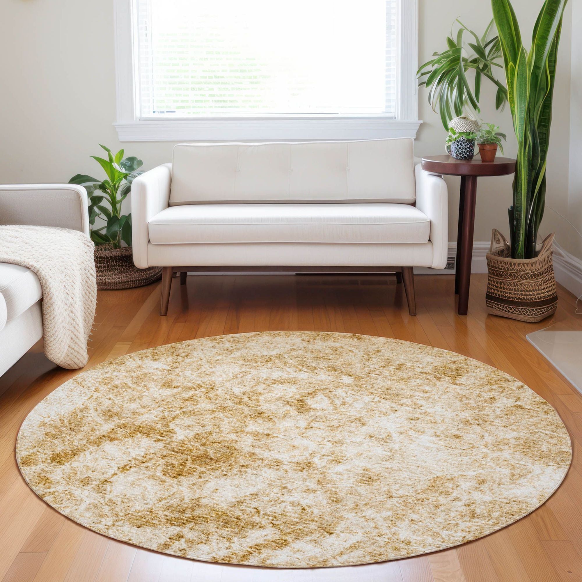 Machine Made ACN553 Beige Brown Rugs #color_beige brown