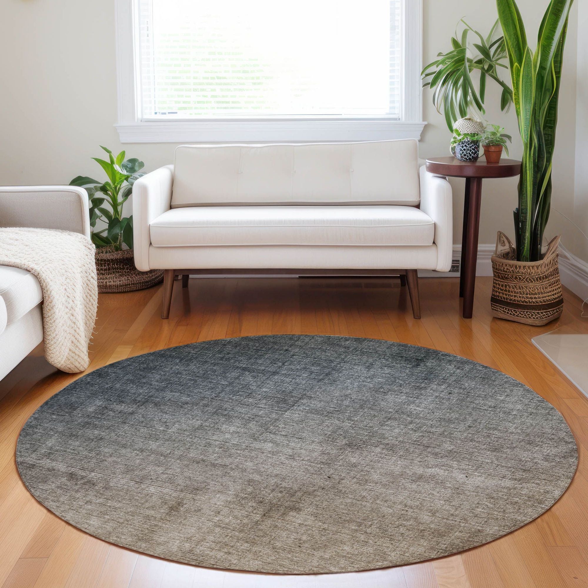 Machine Made ACN569 Gray  Rugs #color_gray 