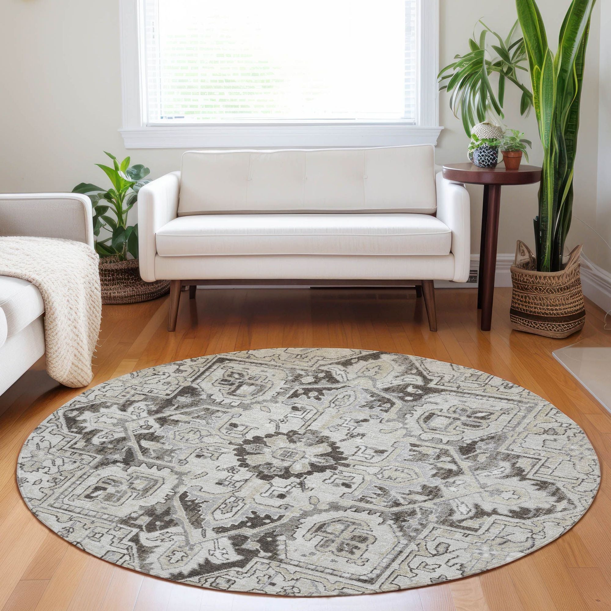 Machine Made ACN570 Ivory  Rugs #color_ivory 