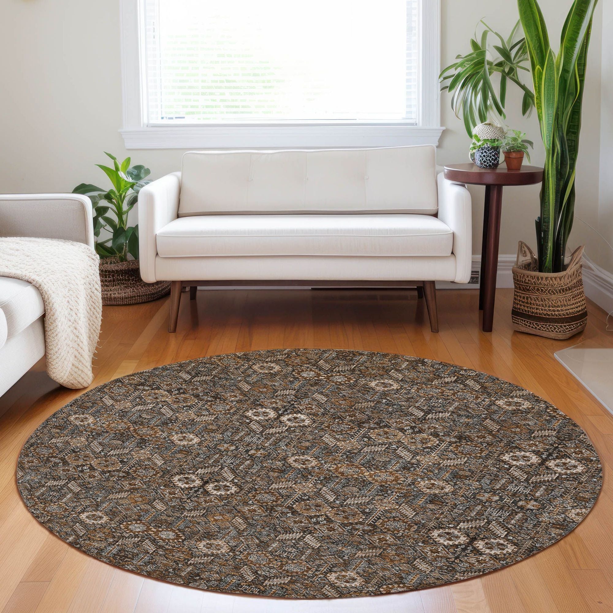 Machine Made ACN574 Chocolate Brown Rugs #color_chocolate brown