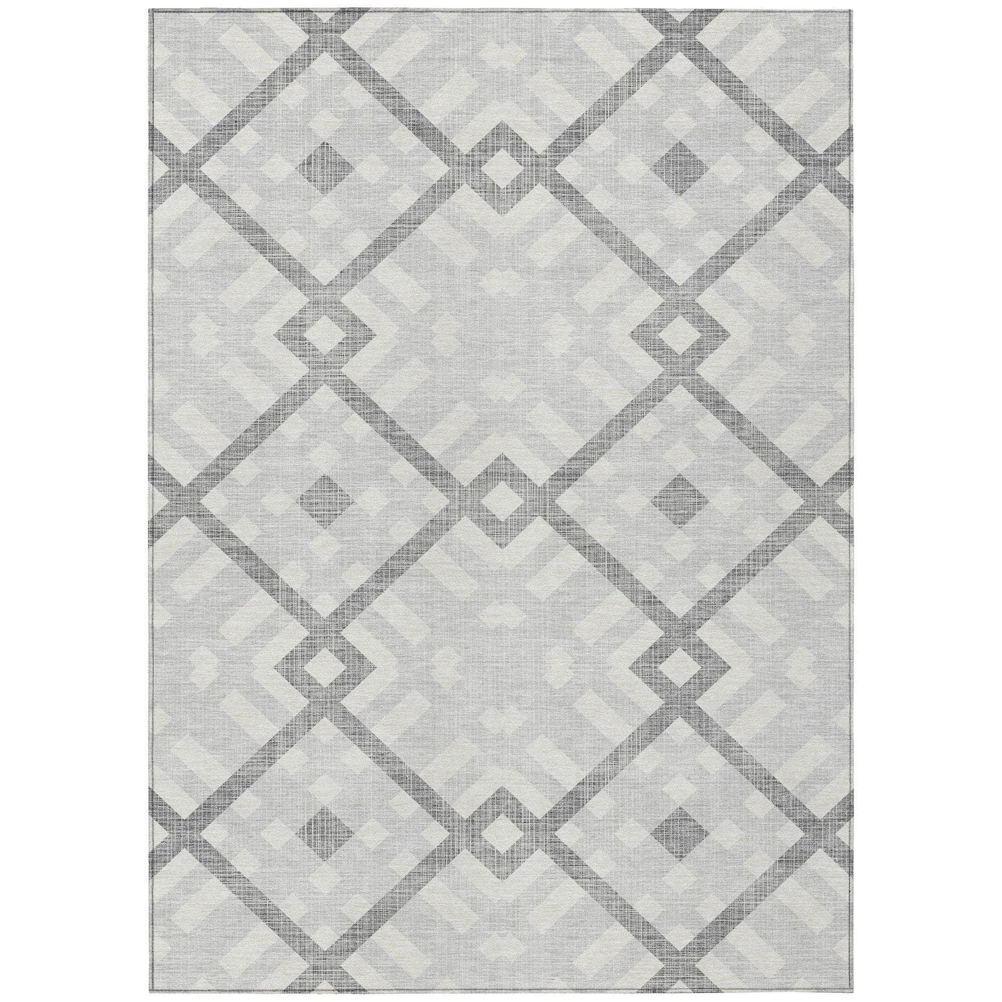 Machine Made ACN616 Silver Gray Rugs #color_silver gray