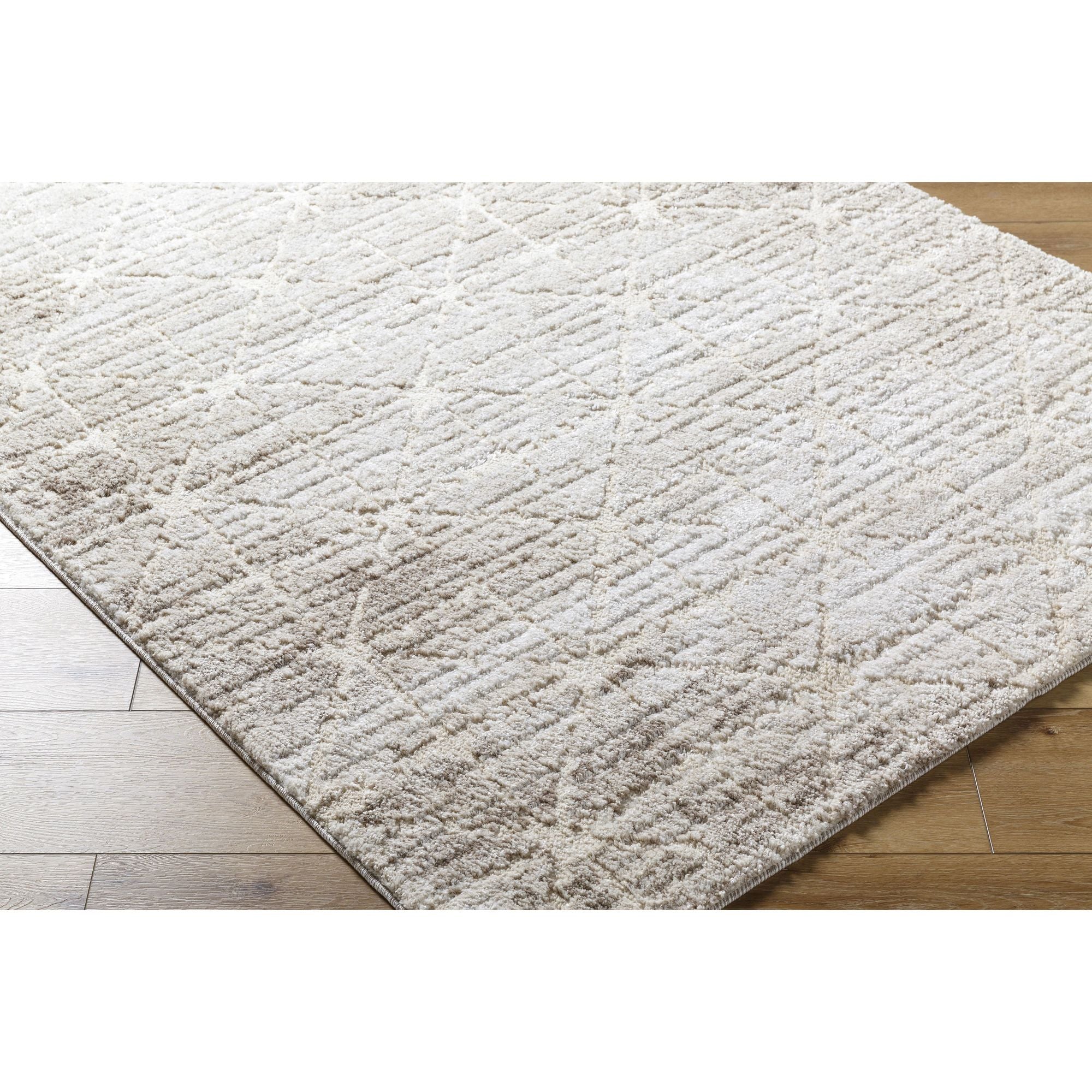 Machine Woven ARP-2306 Light Silver, Ash Rugs #color_light silver, ash