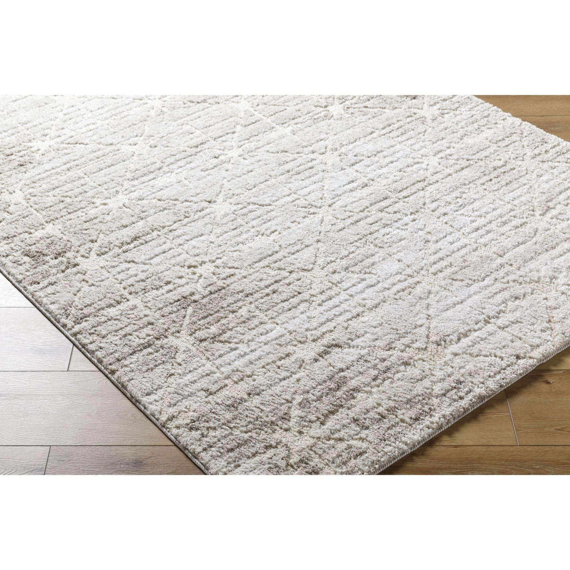 Machine Woven ARP-2306 Light Silver, Ash Rugs #color_light silver, ash