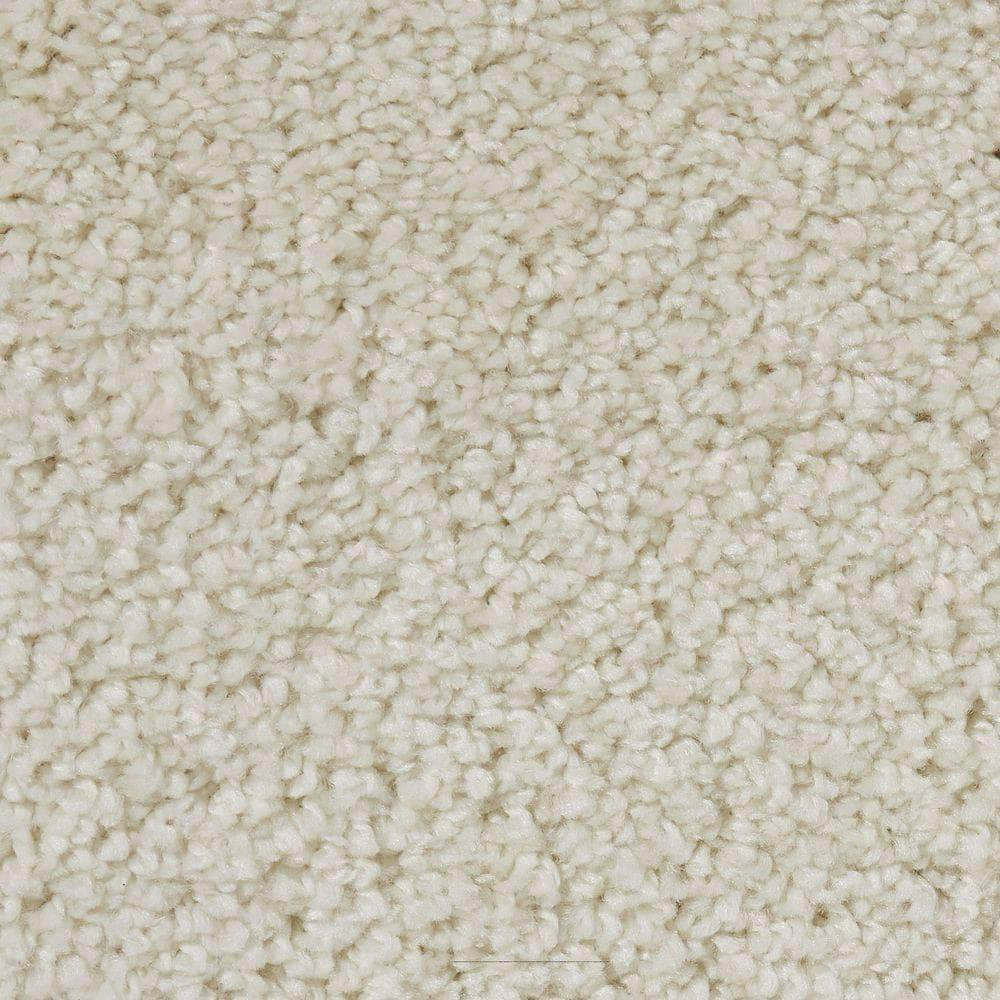 Malibu Shag MSG01 Ivory Rugs #color_ivory